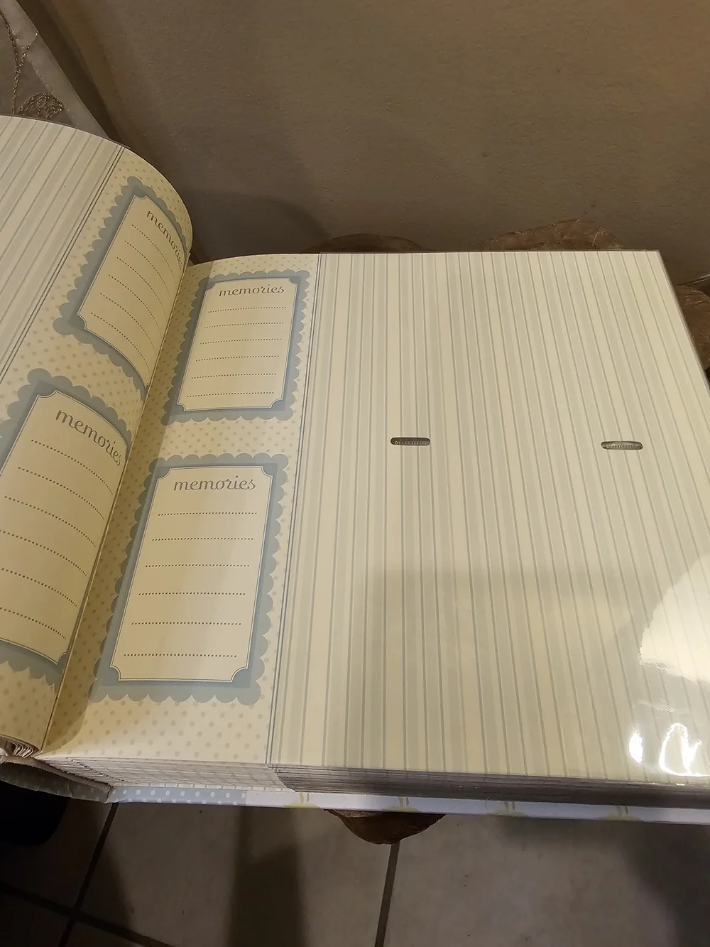 PIONEER Faux Brown Suede Photo Album And Peapod Design Photo